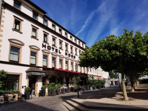 Отель Hotel Ross  Швайнфурт